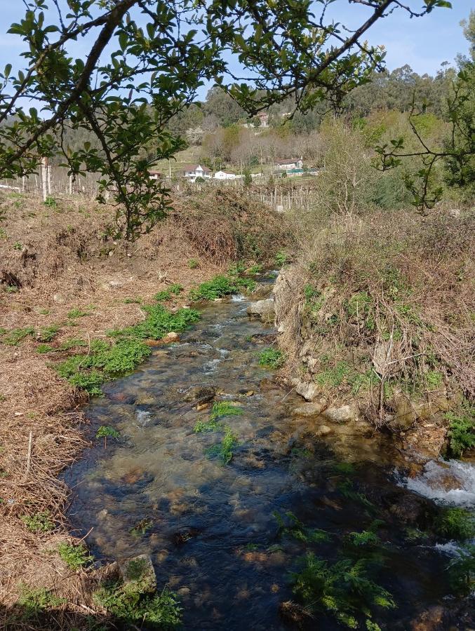 La Favorita Villa Pontevedra Luaran gambar